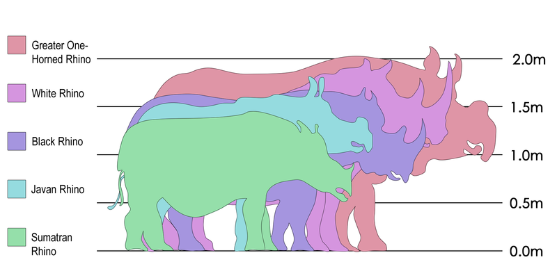 File:Rhinosizes.png