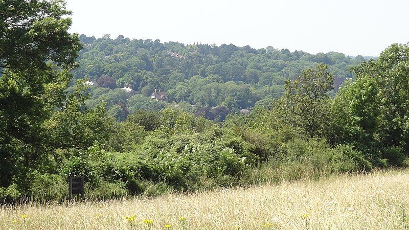 File:Riddlesdown view.JPG