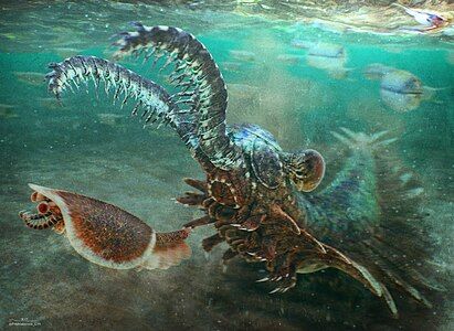 Shucaris ankylosskelos and Erratus sperare