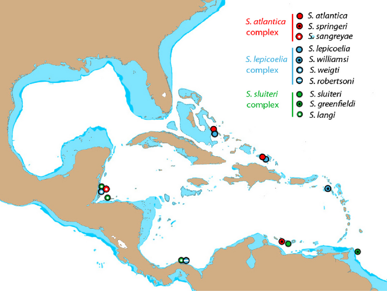 File:Starksia range.png