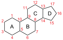 Carbon numbering in gonane