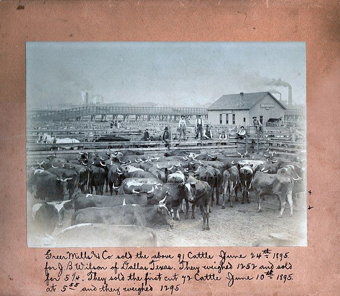 File:Stockyards (1895).jpg