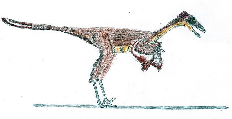 File:Troodon EF.jpg