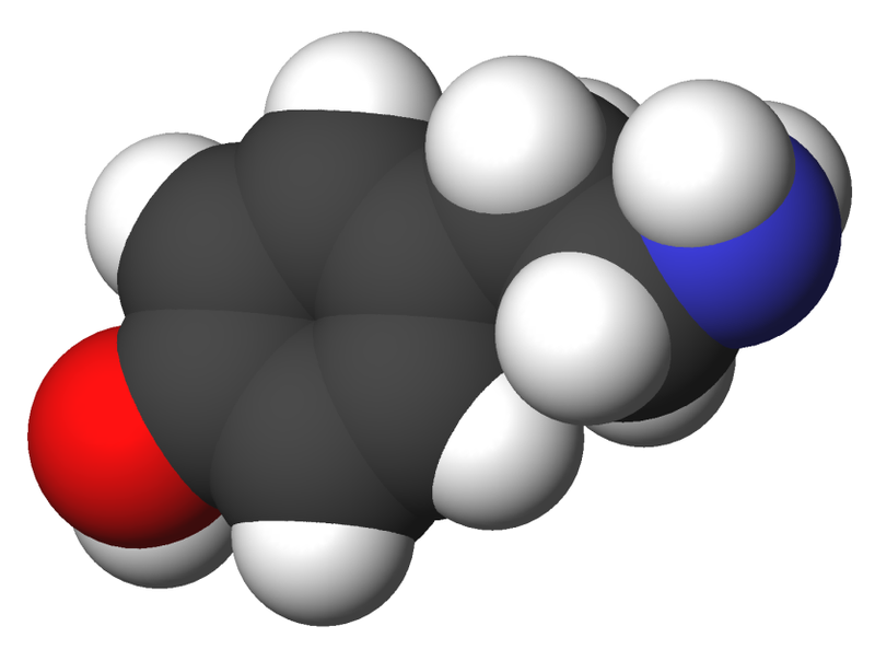 File:Tyramine-3d-CPK.png