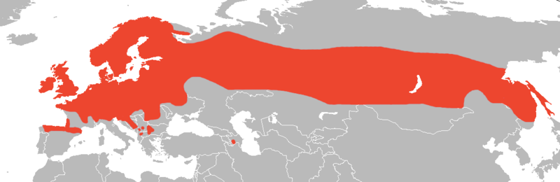 File:Vivaprous lizard range.png