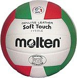 An Italian colored volleyball to represent the heritage of this person.‎