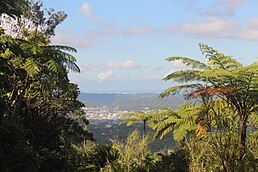 Caguas Valley from Borinquen