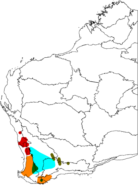 File:Banksia sphaerocarpa map.png