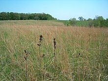 Conard Environmental Research Area