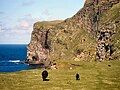 Cliffs on Foula