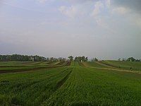 Landscape near Csomád