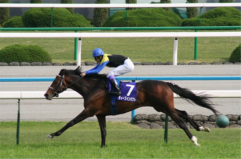 File:Deep Impact(horse)20060430R1.jpg