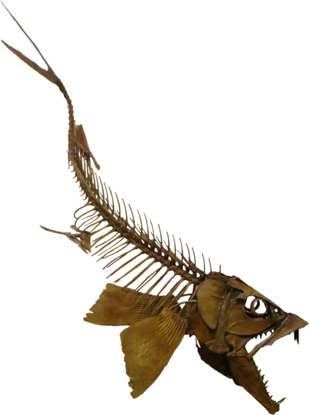 File:Enchodus Swimming Down.png