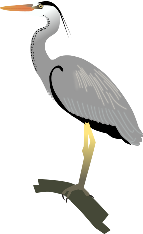 File:Grey Heron.svg