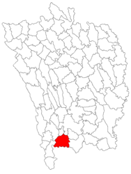 Location in Vaslui County