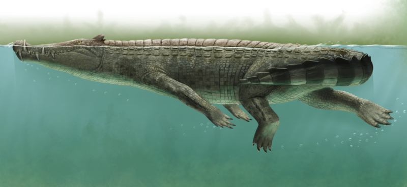 File:Kaprosuchus.png