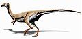 Limusaurus, ceratosaur, China, 1.7 m