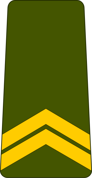 File:Mauritania-Army-OR-3.svg