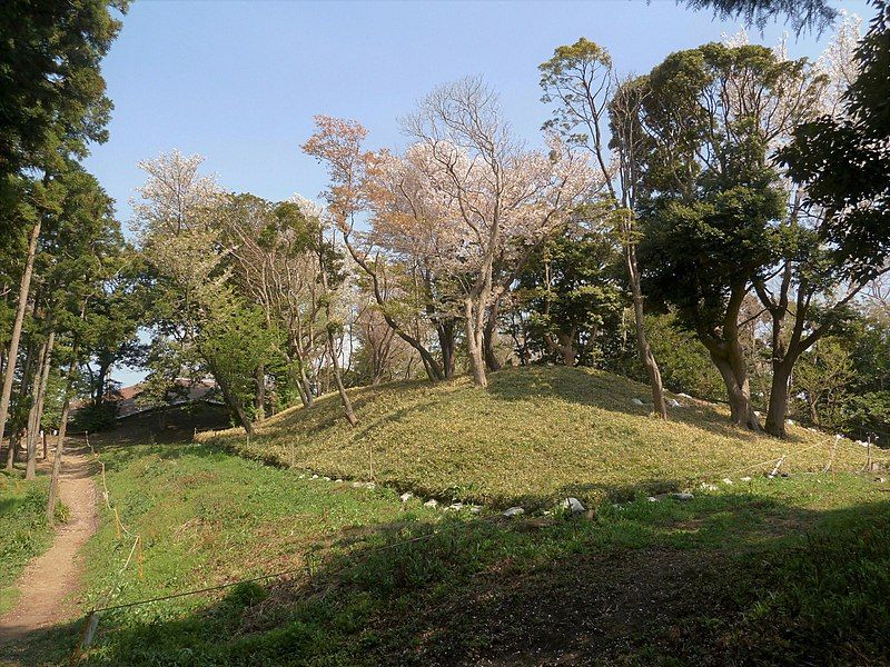 File:Nagae-Sakurayama Kofun-gun 1gou.jpg