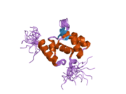 2doa: Solution structure of the helical domain in human Eleven-nineteen lysine-rich leukemia protein ELL