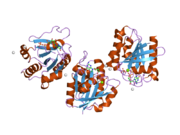 2h57: Crystal structure of human ADP-ribosylation factor-like 6