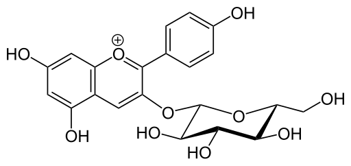 File:Pelargonidin 3-O-glucoside.svg