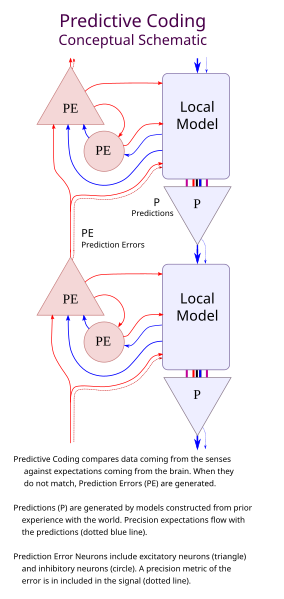 File:PredictiveCodingX2.svg