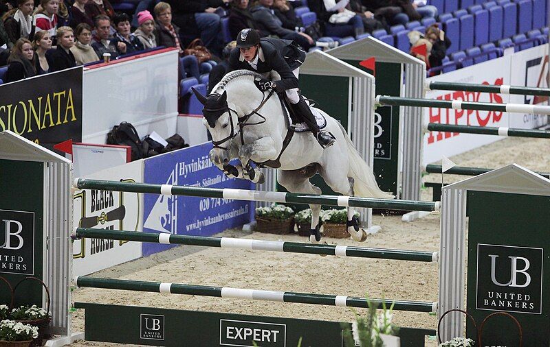 File:Show jumping.jpg