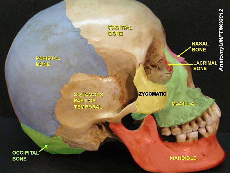 File:Slide4llll.JPG