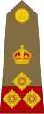 Brigadier