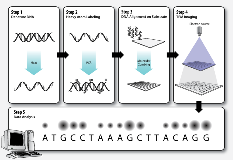 File:TEM-SMS-Workflow.png