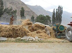 Scenic view of Tissar During Harvesting Season