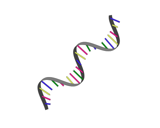 File:201904 RNA.svg