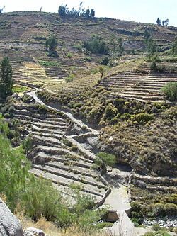 Inca Trail (Qhapaq Ñan) and terraces, Tarata - Ticaco