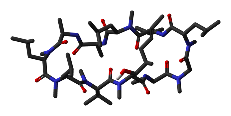 File:Ciclosporin-A-neutron-3D-sticks.png