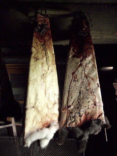 File:Domestic rabbits skins.jpg