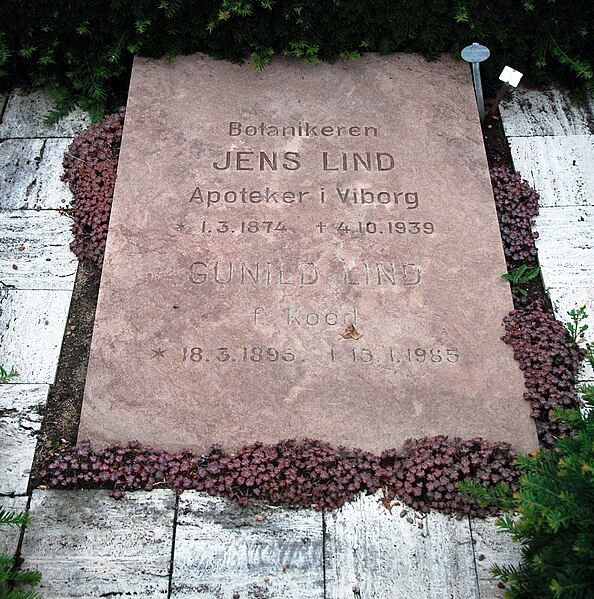 File:Jens Lind (gravestone).jpg