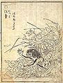 Kappa (河童) Sekien's comments: It is also called kawatarō. (川太郎ともいふ。)