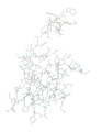 Image 28Ling Zhi-8, an immunomodulatory protein isolated from Ganoderma lucidum (from Medicinal uses of fungi)