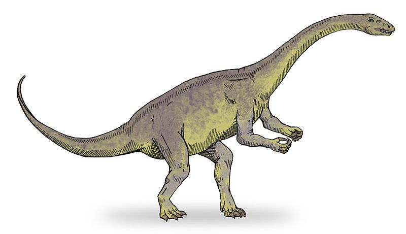 File:Lufengosaurus sketch1.jpg