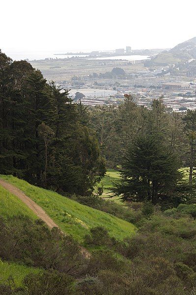 File:McLaren Park (2275900933).jpg