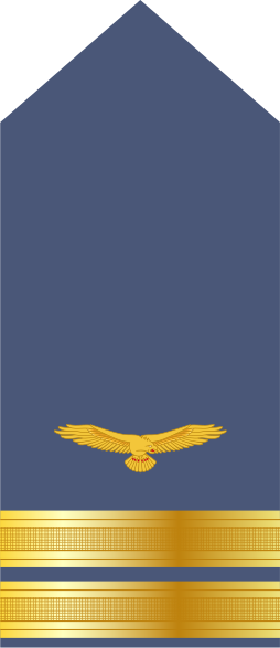 File:Nigeria-AirForce-OF-2.svg