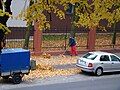 Cleaning the sidewalk from fallen leaves.