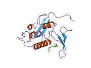 1pin: PIN1 PEPTIDYL-PROLYL CIS-TRANS ISOMERASE FROM HOMO SAPIENS