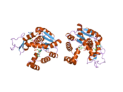 2bbw: Crystal structure of human adenylate kinase 4 (AK4) in complex with diguanosine pentaphosphate