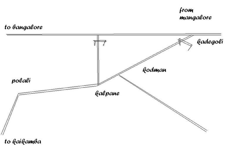 File:Polaliroot.JPG