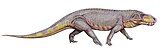 Prestosuchus chiniquensis