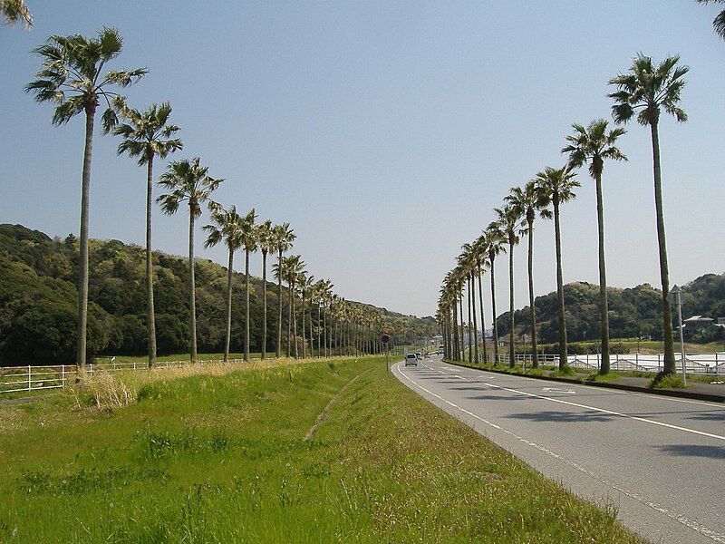 File:R127 Tateyama-Bypass.JPG