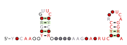 RAGATH-25 Secondary structure taken from the Rfam database. Family RF03050