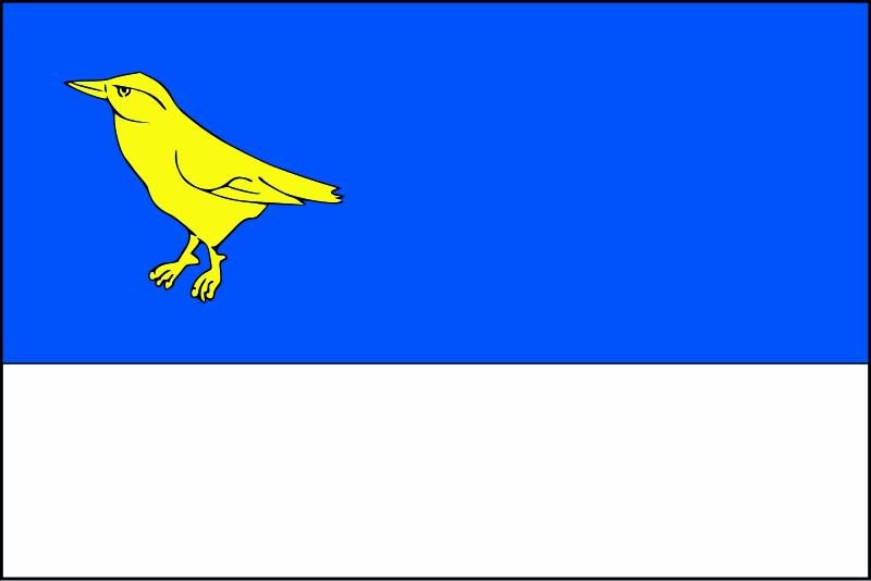 File:Raskovice flag.svg